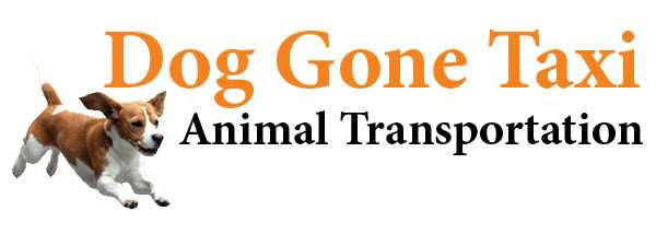 Dog Gone Taxi Logo